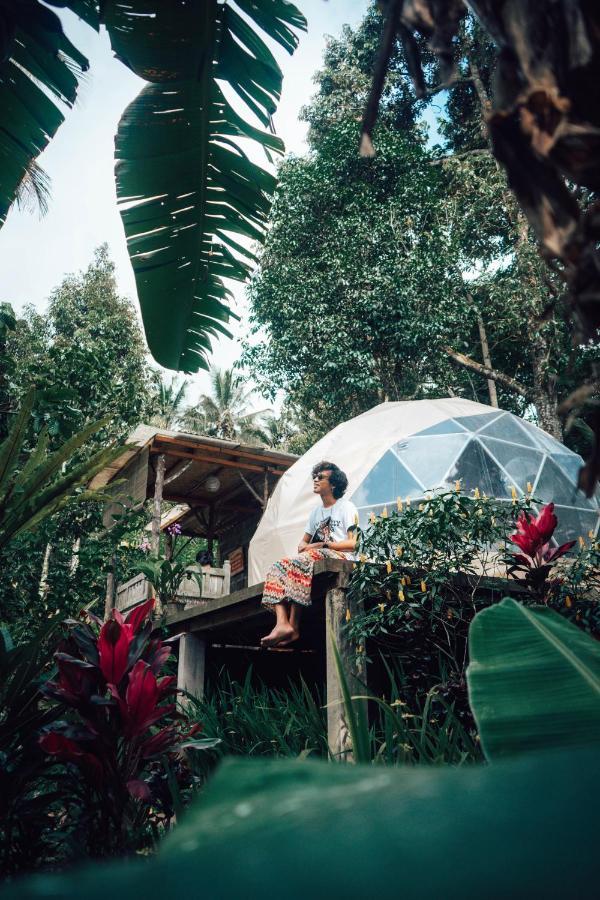 Bali Jungle Camping By Amerta Experience Selemadeg Exterior foto