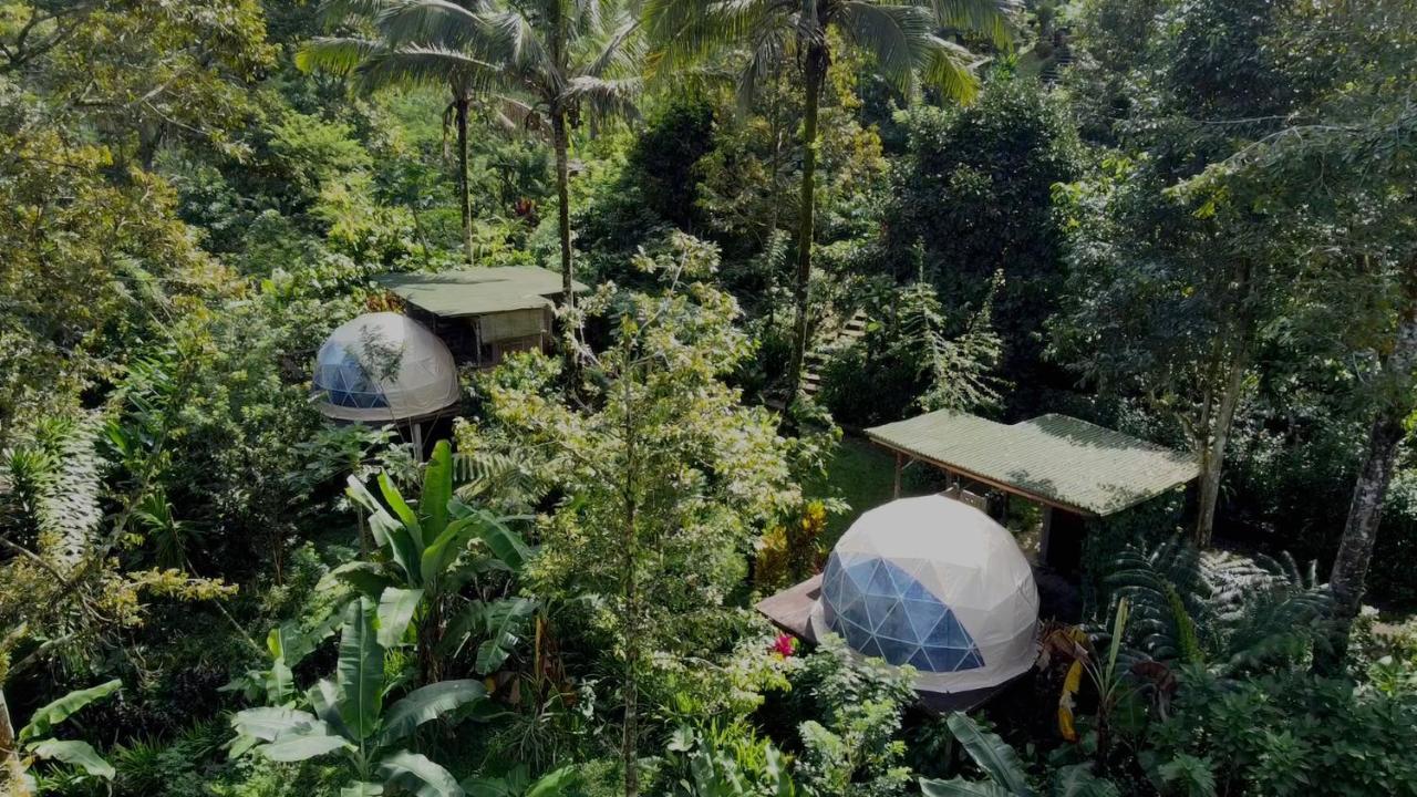 Bali Jungle Camping By Amerta Experience Selemadeg Exterior foto