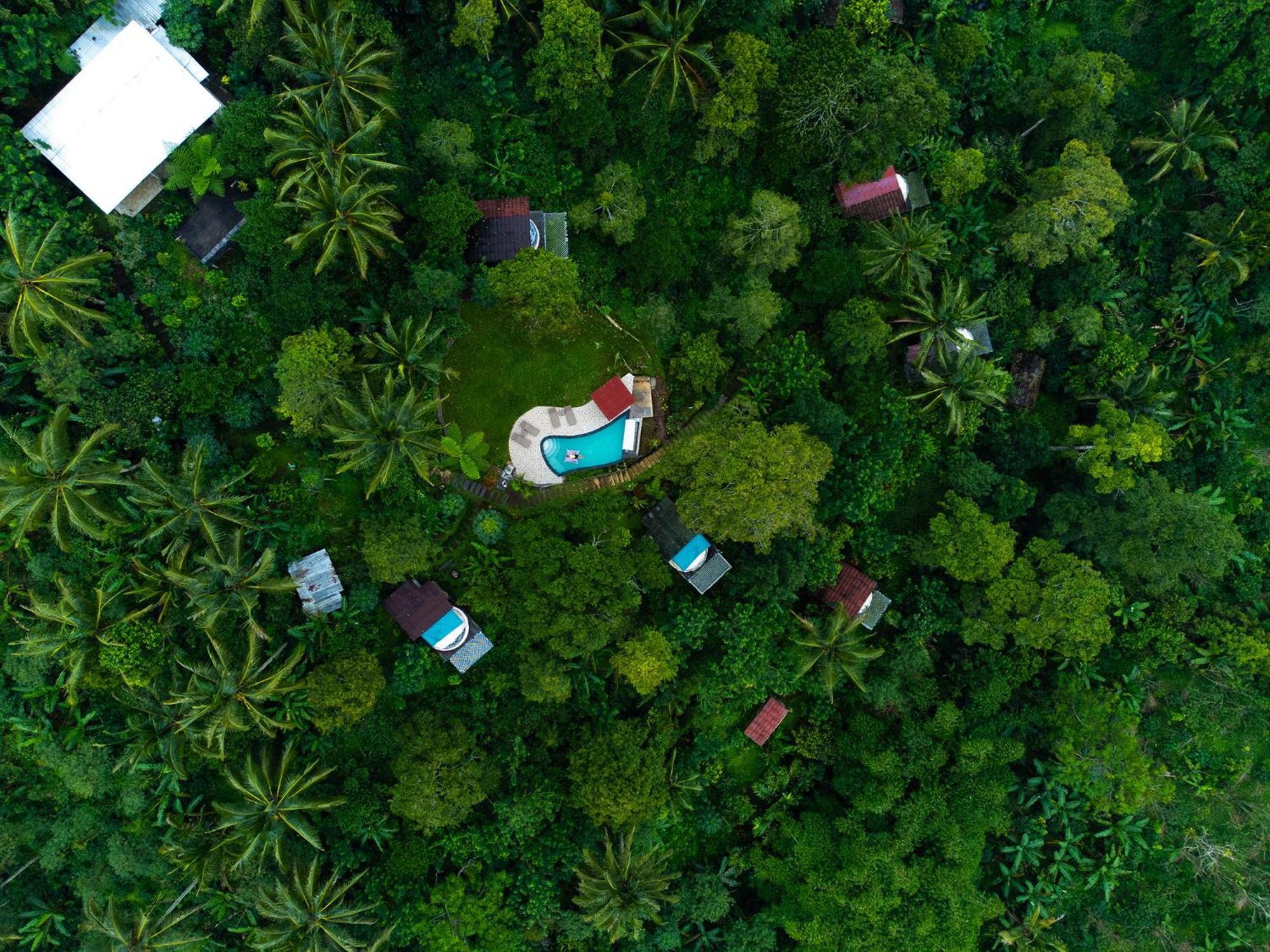 Bali Jungle Camping By Amerta Experience Selemadeg Exterior foto